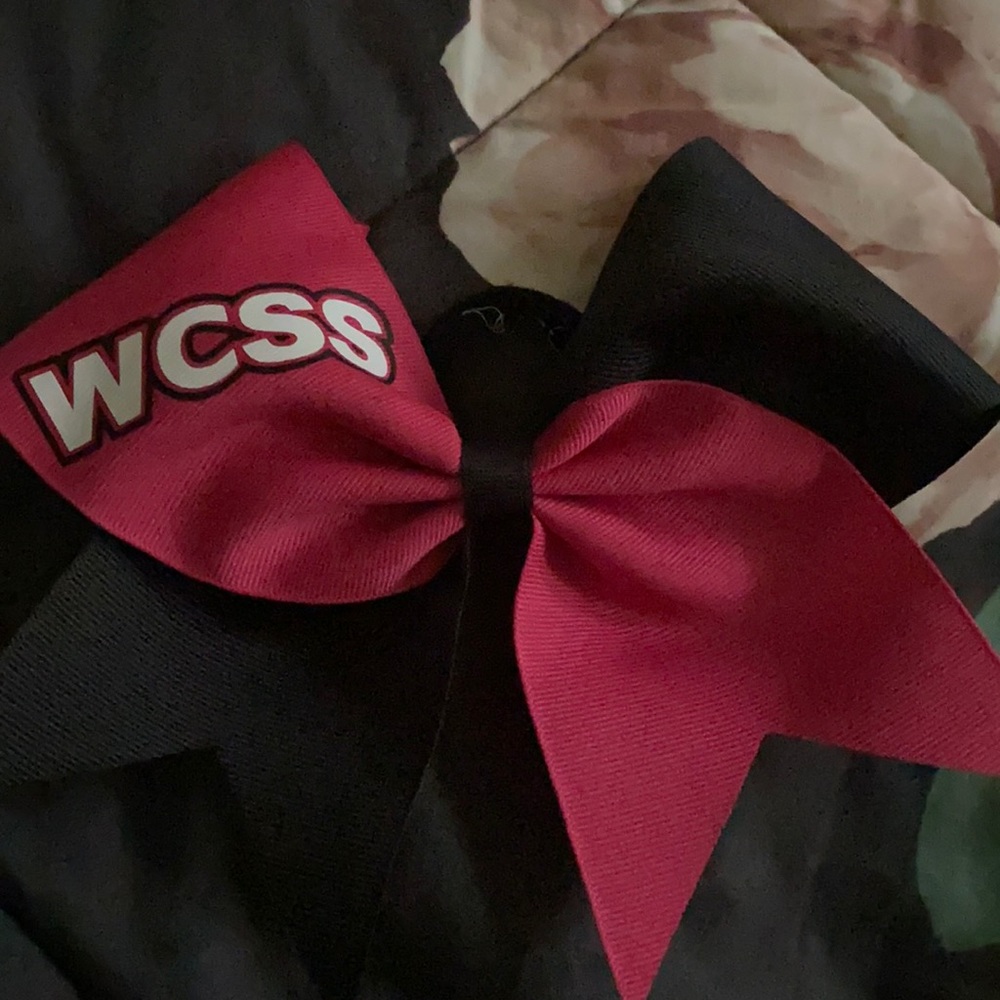 wcss bow